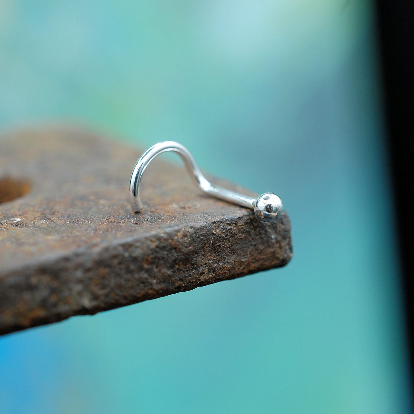 silver stud with ball nose stud