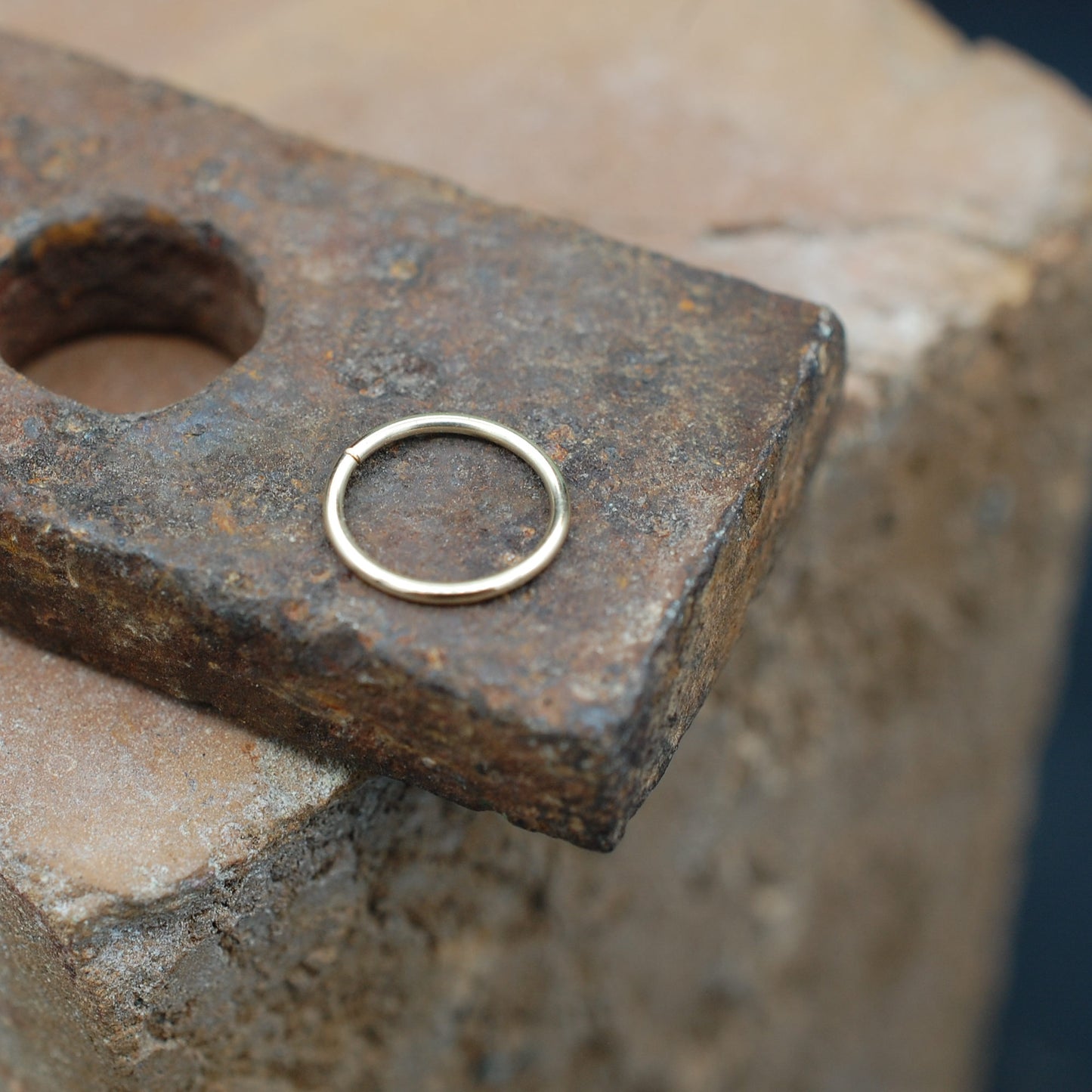 gold nose ring