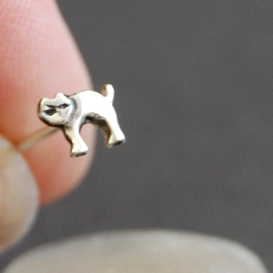 cat nose ring