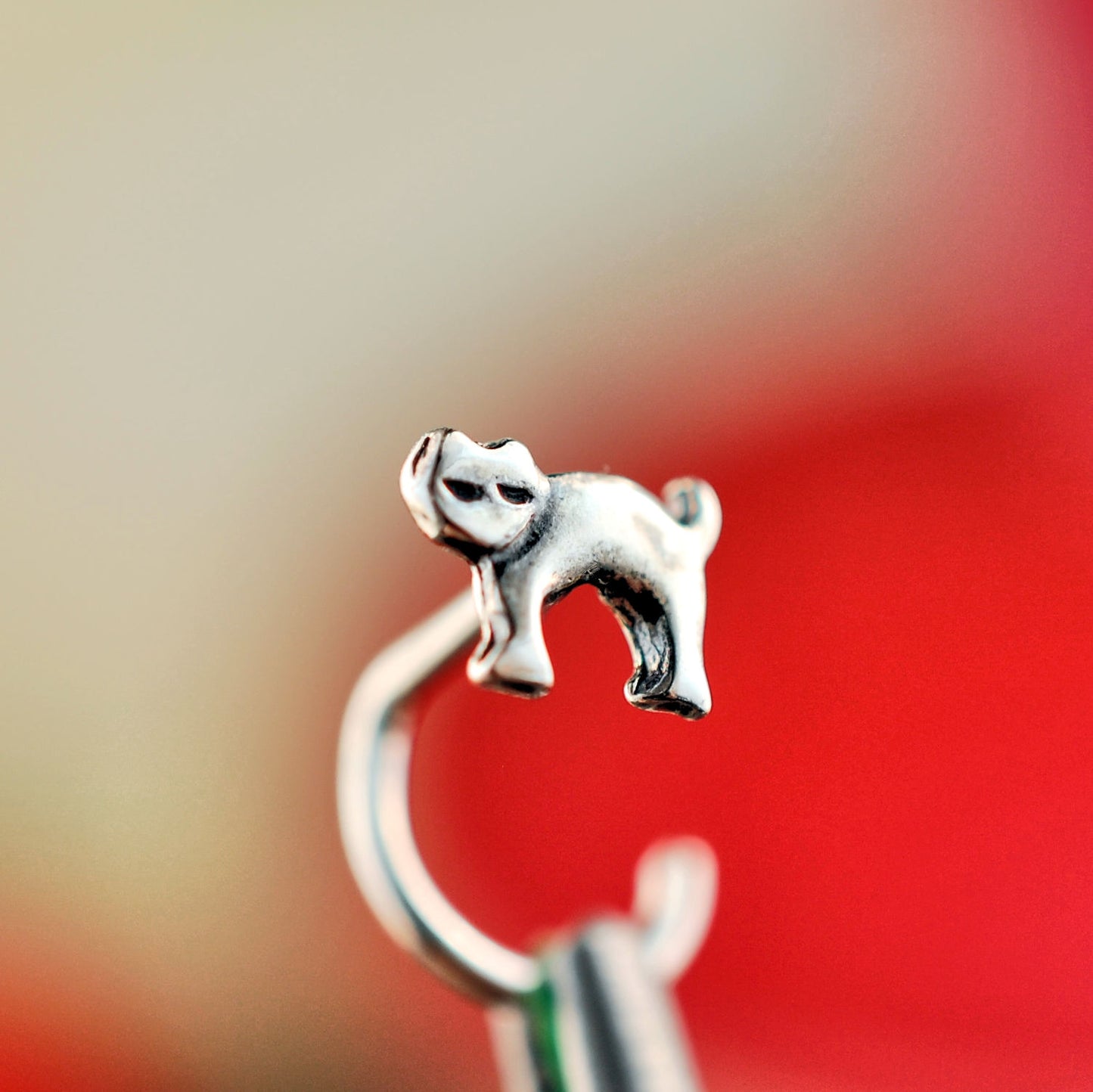 nickel free nose studs