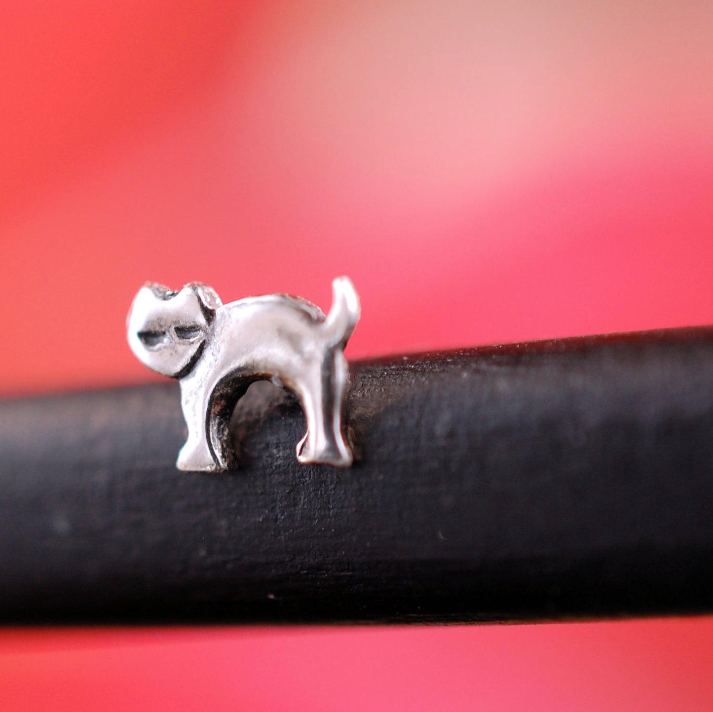 kitten nose jewelry