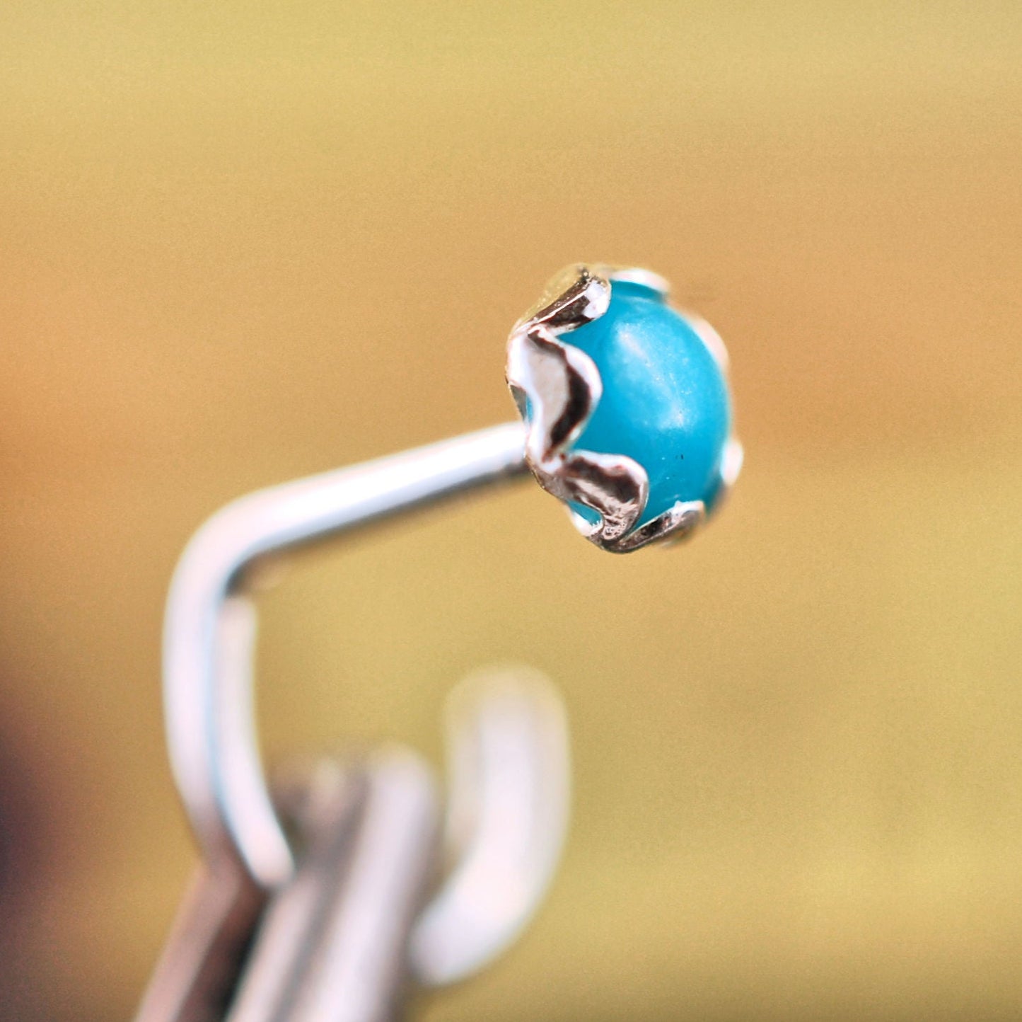 turquoise nose jewelry in sterling silver filigree