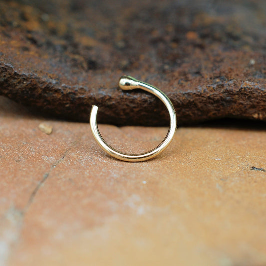 Nose Rings - What's Hot?