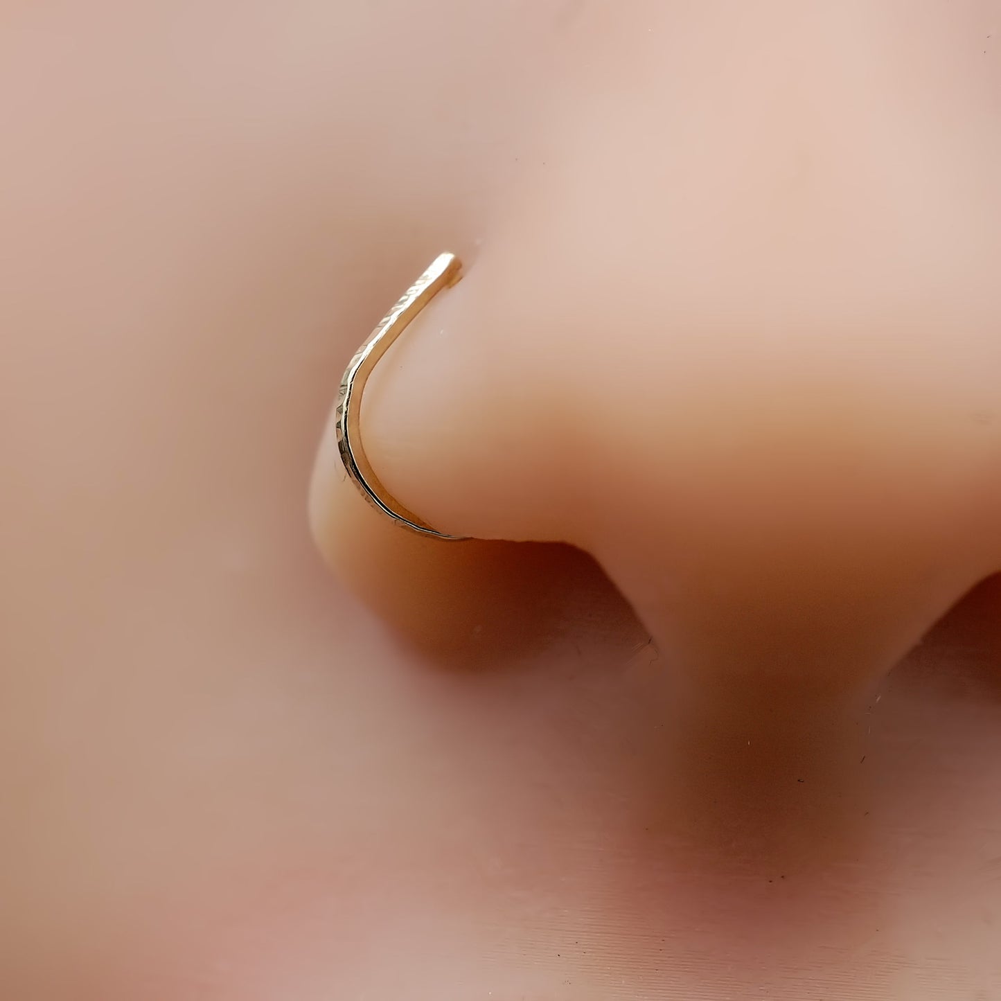 Gold nose ring on a person's nose with a blurred background