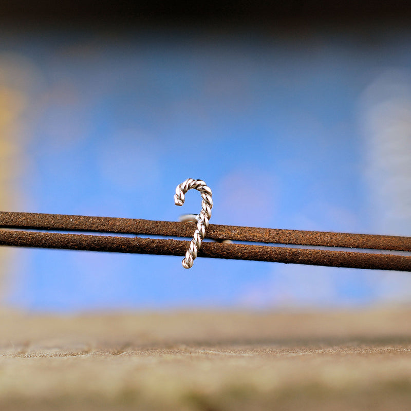 products/Cane_silver_1.jpg