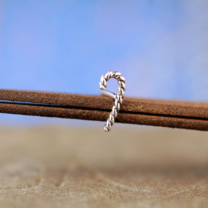 products/Cane_silver_2.jpg