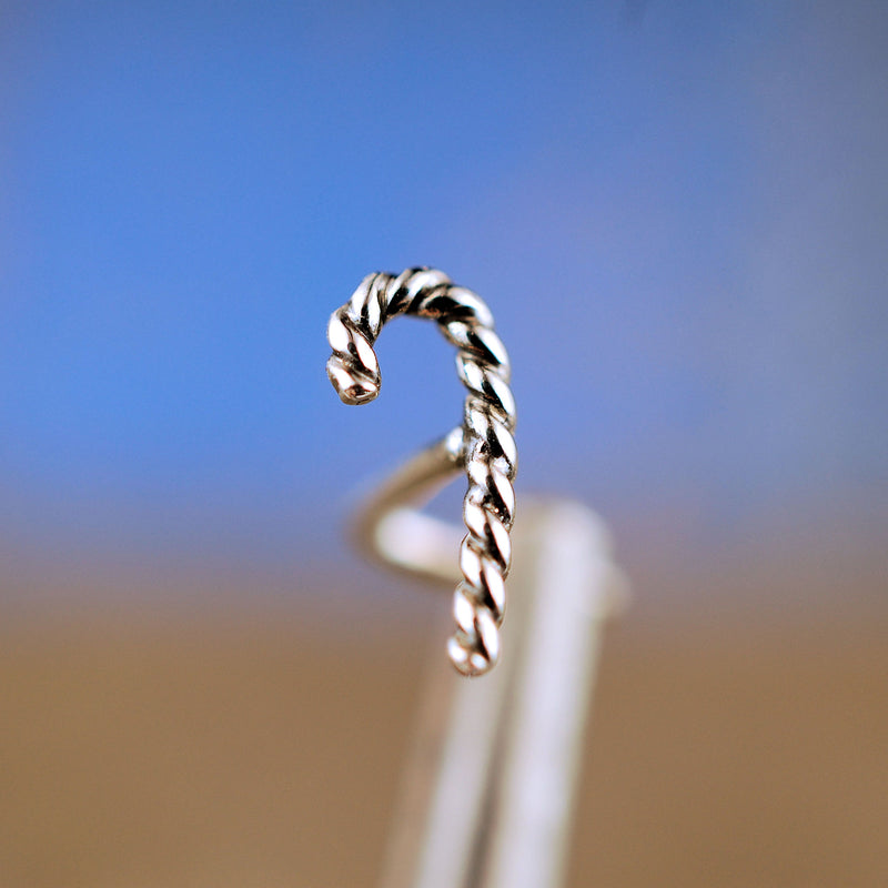 products/Cane_silver_3.jpg