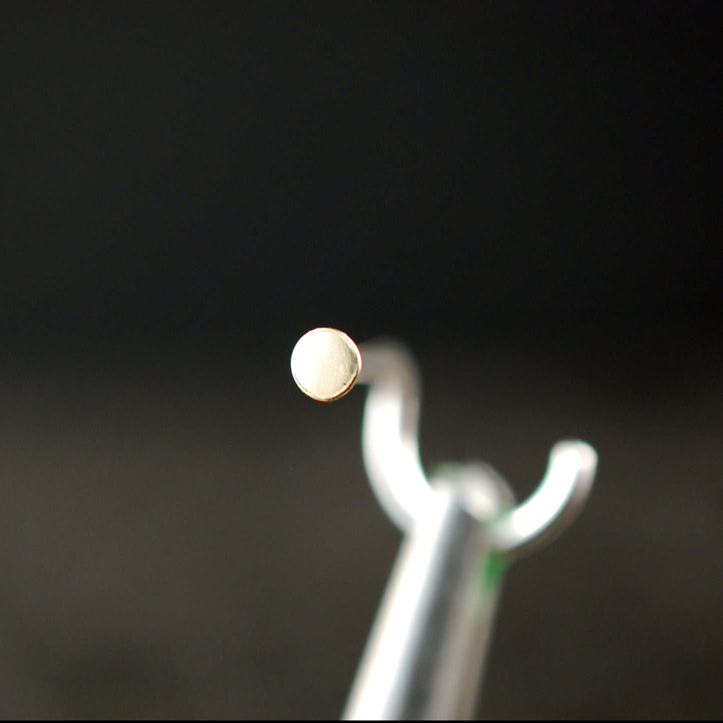 small 14 karat yellow gold dot nose stud