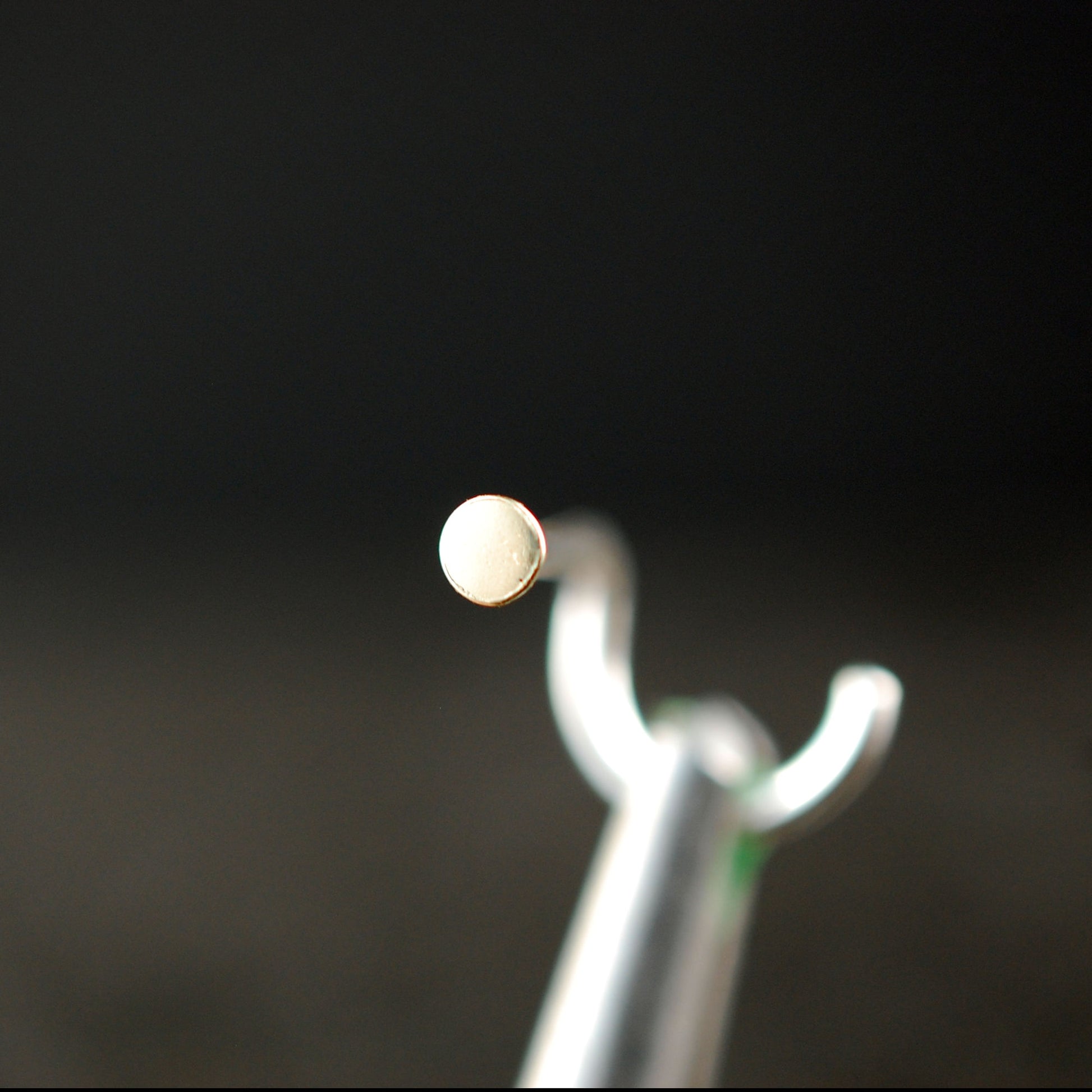 small 14 karat yellow gold dot nose stud