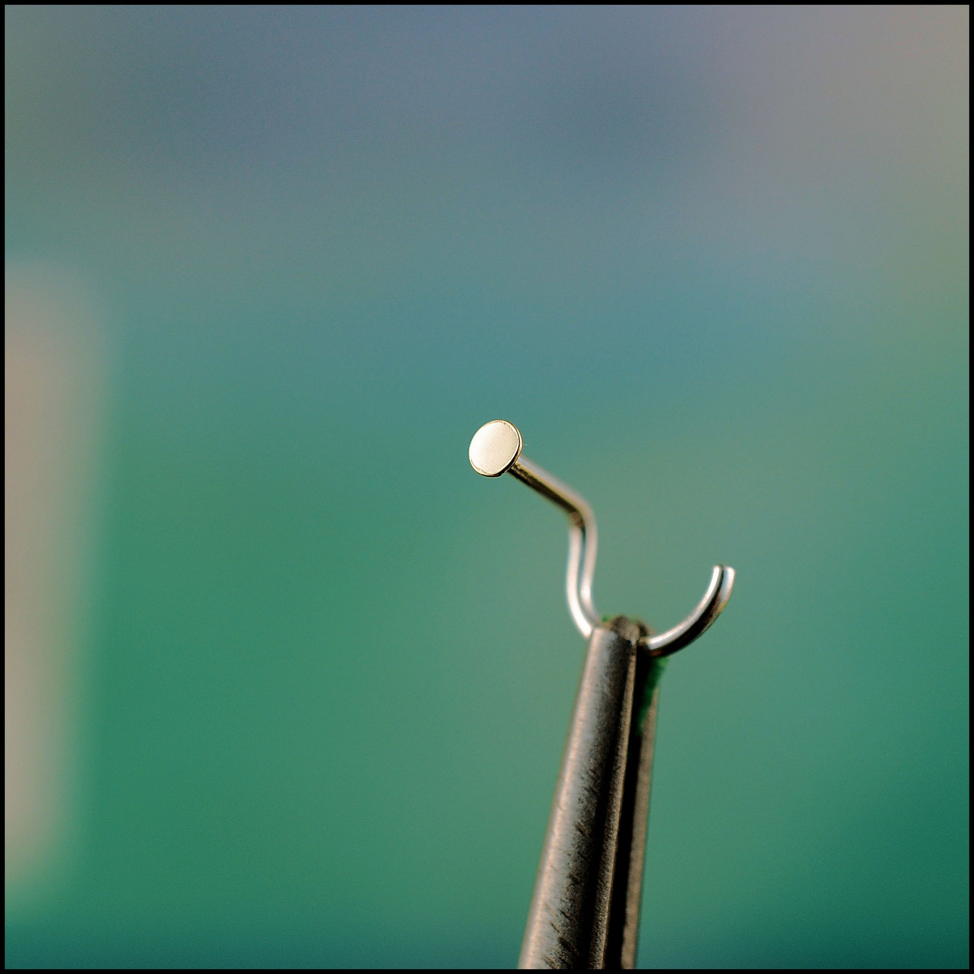 flat gold dot nose stud 14 karat