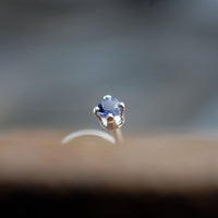 tiny stone nose stud