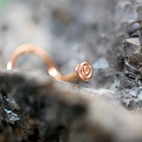 rose gold spiral nose ring