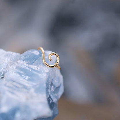 gold nose ring hoop