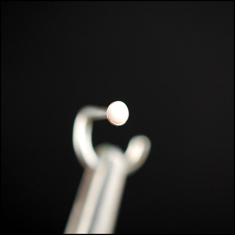 products/RG_2mm_disc_with_silver_stem_5B.jpg