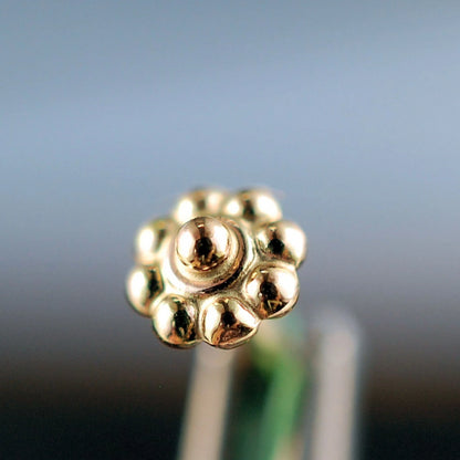 14 karat yellow gold nose stud