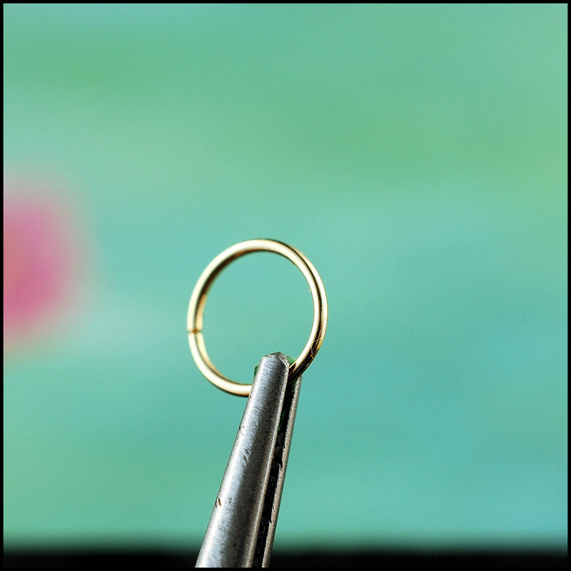 products/YG_nose_ring_hoop_seamless_5B.jpg